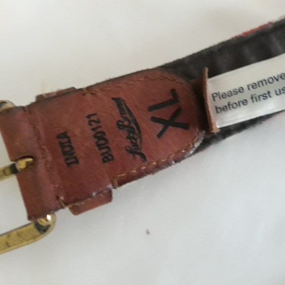 Fossil belt - Picture 5 of 5